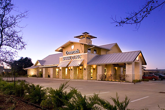 Best Vets in HoustonCrossroads Animal Clinic Total Vet Best Vets in Houston Crossroads Animal Clinic