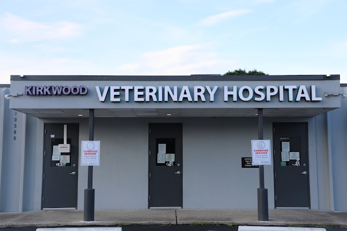 Best Vets in HoustonKirkwood Veterinary Hospital Total Vet Best Vets in Houston Kirkwood Veterinary Hospital