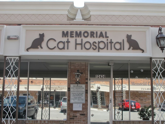 Best Vets in HoustonMemorial Cat Hospital Total Vet Best Vets in Houston Memorial Cat Hospital