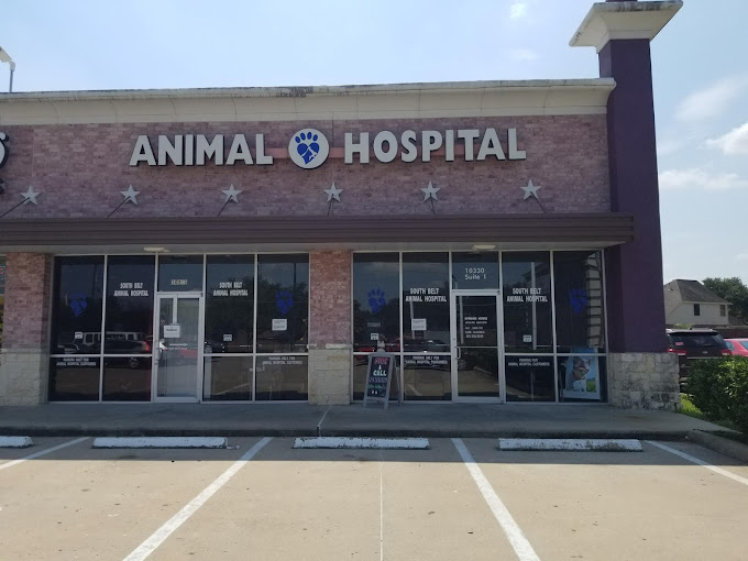 Best Vets in HoustonSouth Belt Animal Hospital Total Vet Best Vets in Houston South Belt Animal Hospital