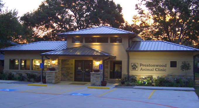 Best Vets in HoustonVCA Prestonwood Animal Hospital Total Vet Best Vets in Houston VCA Prestonwood Animal Hospital
