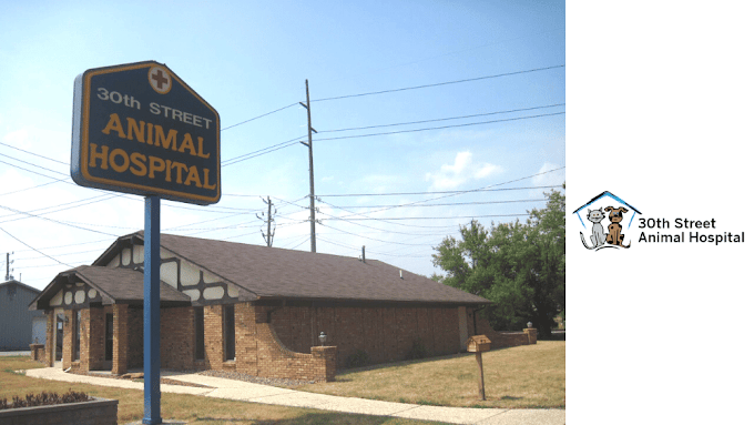 Best Vets in Indianapolis30th Street Animal Hospital Total Vet Best Vets in Indianapolis 30th Street Animal Hospital