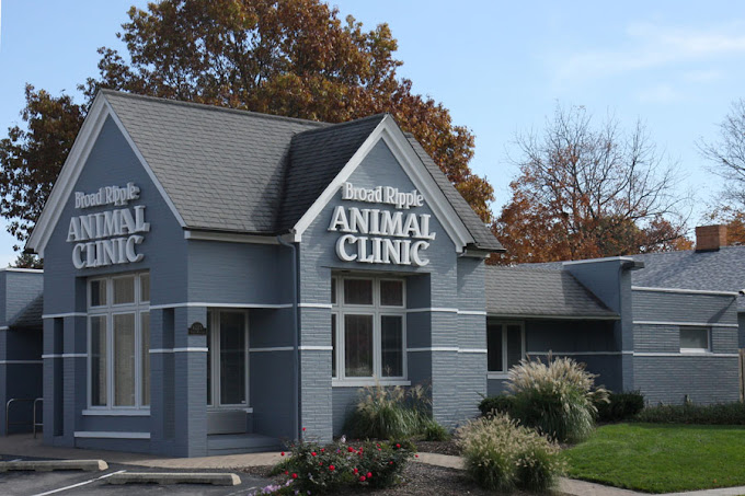 Best Vets in IndianapolisBroad Ripple Animal Clinic Total Vet Best Vets in Indianapolis Broad Ripple Animal Clinic