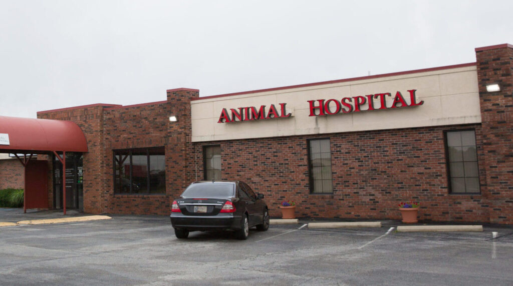 Best Vets in IndianapolisFreeland Animal Hospital Total Vet Best Vets in Indianapolis Freeland Animal Hospital