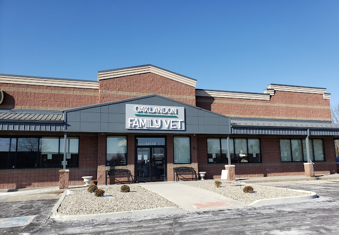 Best Vets in IndianapolisOaklandon Family Vet Total Vet Best Vets in Indianapolis Oaklandon Family Vet
