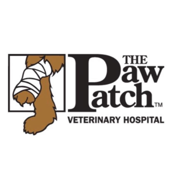 Best Vets in IndianapolisThe Paw Patch Total Vet Best Vets in Indianapolis The Paw Patch