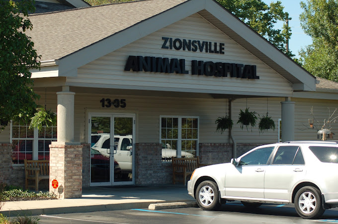 Best Vets in IndianapolisZionsville Animal Hospital Total Vet Best Vets in Indianapolis Zionsville Animal Hospital