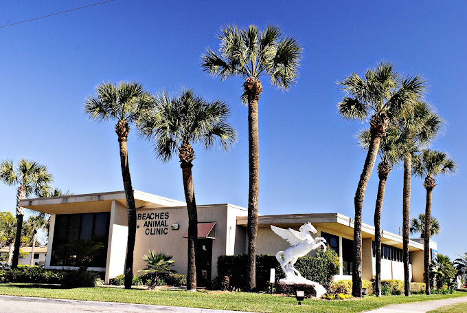 Best Vets in JacksonvilleBeaches Animal Clinic Total Vet Best Vets in Jacksonville Beaches Animal Clinic
