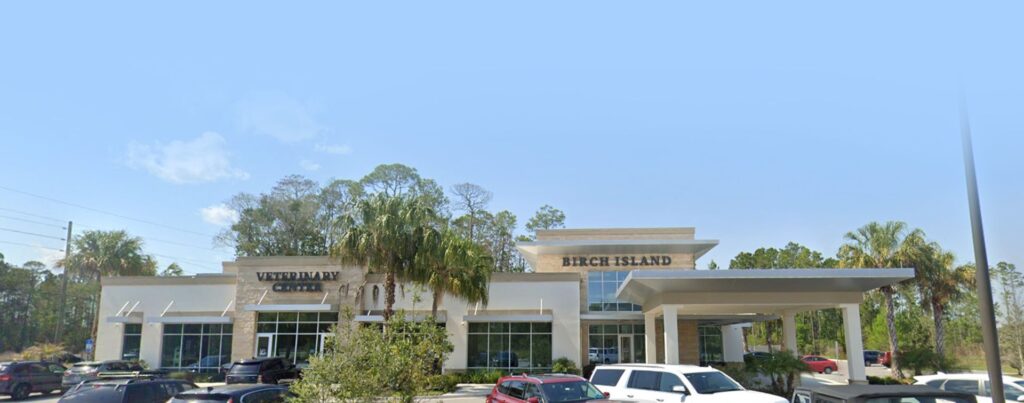 Best Vets in JacksonvilleBirch Island Veterinary Center Total Vet Best Vets in Jacksonville Birch Island Veterinary Center