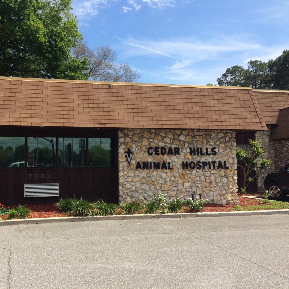 Best Vets in JacksonvilleCedar Hills Animal Hospital Total Vet Best Vets in Jacksonville Cedar Hills Animal Hospital