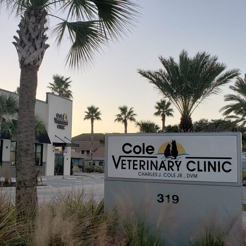Best Vets in JacksonvilleCole Veterinary Clinic Total Vet Best Vets in Jacksonville Cole Veterinary Clinic