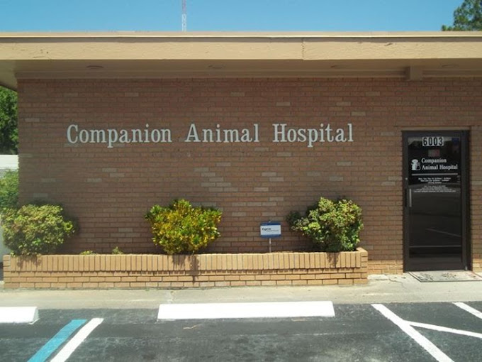 Best Vets in JacksonvilleCompanion Animal Hospital of North Florida Total Vet Best Vets in Jacksonville Companion Animal Hospital of North Florida