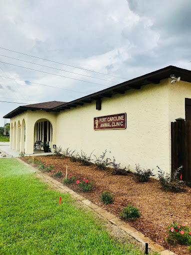 Best Vets in JacksonvilleFort Caroline Animal Clinic Total Vet Best Vets in Jacksonville Fort Caroline Animal Clinic