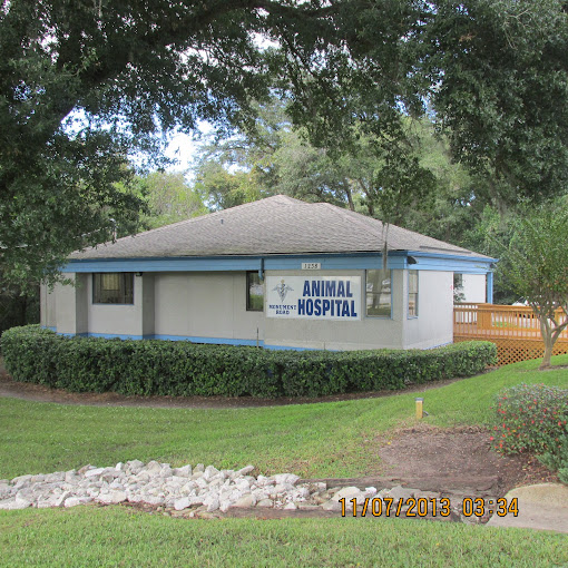 Best Vets in JacksonvilleMonument Road Animal Hospital Total Vet Best Vets in Jacksonville Monument Road Animal Hospital