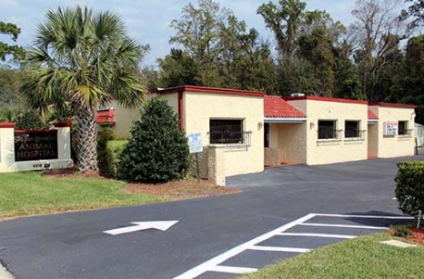 Best Vets in JacksonvilleSan Jose Beauclerc Animal Hospital Total Vet Best Vets in Jacksonville San Jose Beauclerc Animal Hospital