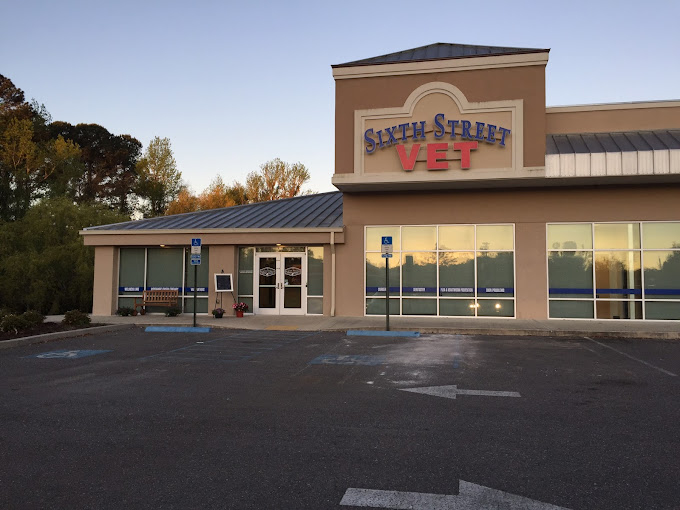 Best Vets in JacksonvilleSixth Street Veterinary Hospital Total Vet Best Vets in Jacksonville Sixth Street Veterinary Hospital