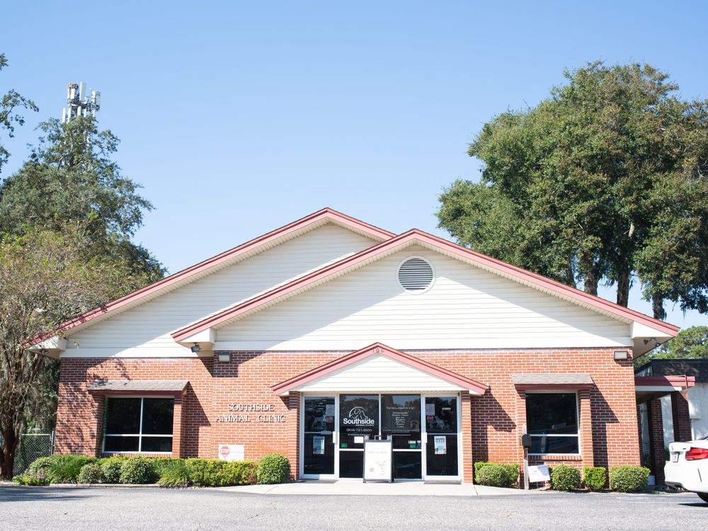 Best Vets in JacksonvilleSouthside Animal Clinic Total Vet Best Vets in Jacksonville Southside Animal Clinic