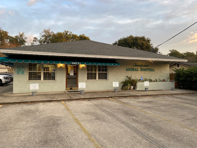 Best Vets in JacksonvilleTimuquana Animal Hospital Total Vet Best Vets in Jacksonville Timuquana Animal Hospital