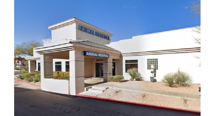 Best Vets in Las VegasSouth Shores Animal Hospital Total Vet Best Vets in Las Vegas South Shores Animal Hospital