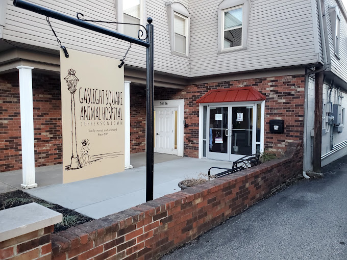 Best Vets in LouisvilleGaslight Square Animal Hospital Total Vet Best Vets in Louisville Gaslight Square Animal Hospital