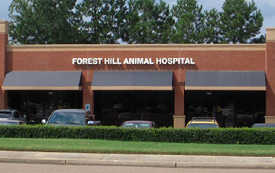 Best Vets in MemphisForest Hill Animal Hospital Total Vet Best Vets in Memphis Forest Hill Animal Hospital