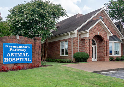 Best Vets in MemphisGermantown Animal Hospital Total Vet Best Vets in Memphis Germantown Animal Hospital