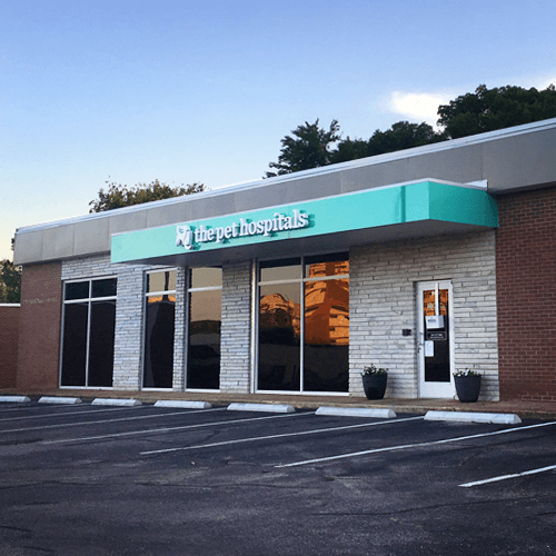 Best Vets in MemphisThe Pet Hospitals Downtown Total Vet Best Vets in Memphis The Pet Hospitals Downtown
