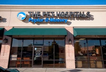 Best Vets in MemphisThe Pet Hospitals Poplar at Massey Total Vet Best Vets in Memphis The Pet Hospitals Poplar at Massey