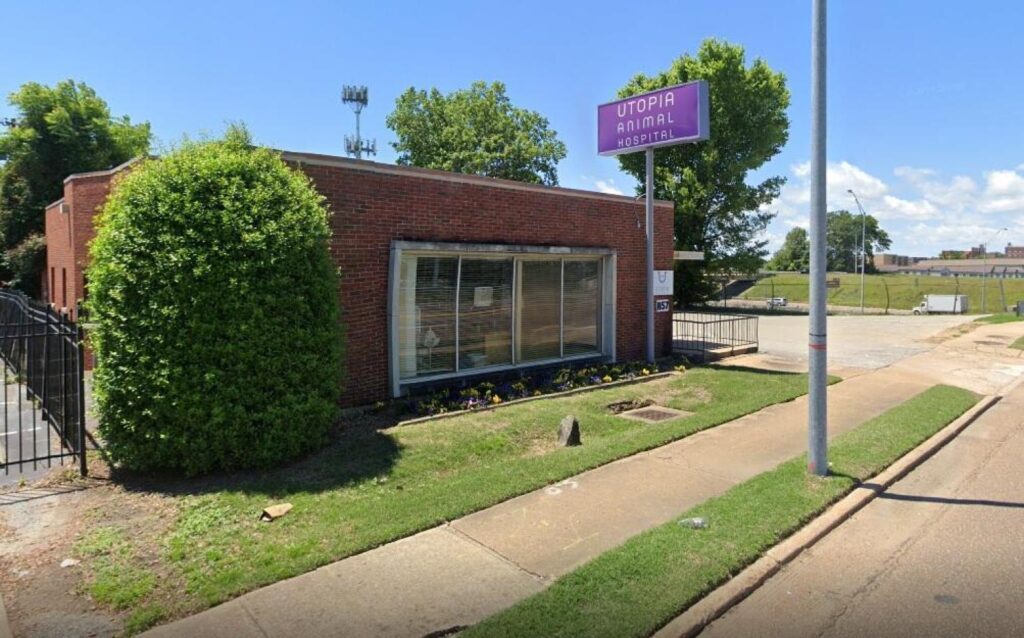 Best Vets in MemphisUtopia Animal Hospital Total Vet Best Vets in Memphis Utopia Animal Hospital