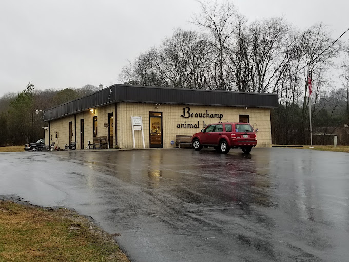 Best Vets in NashvilleBeauchamp Animal Hospital Total Vet Best Vets in Nashville Beauchamp Animal Hospital