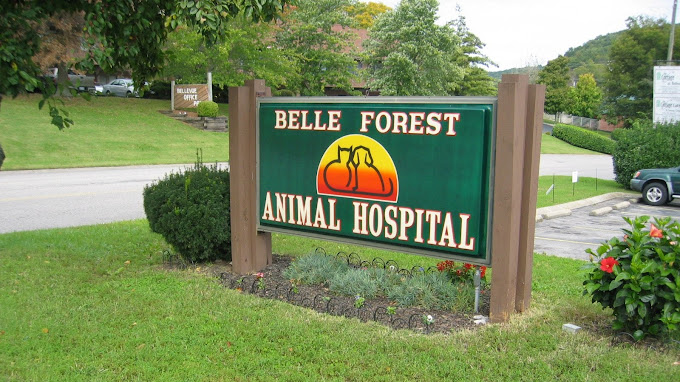 Best Vets in NashvilleBelle Forest Animal Hospital Total Vet Best Vets in Nashville Belle Forest Animal Hospital