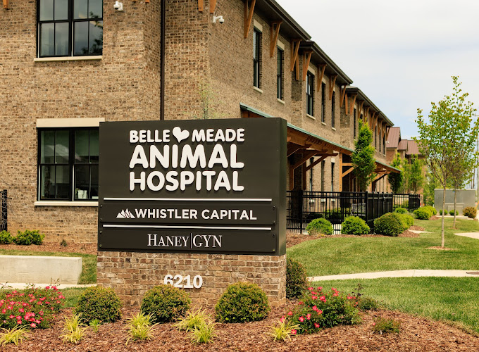 Best Vets in NashvilleBelle Meade Animal Hospital Total Vet Best Vets in Nashville Belle Meade Animal Hospital