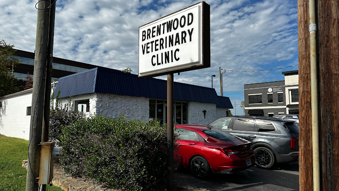 Best Vets in NashvilleBrentwood Veterinary Clinic Total Vet Best Vets in Nashville Brentwood Veterinary Clinic
