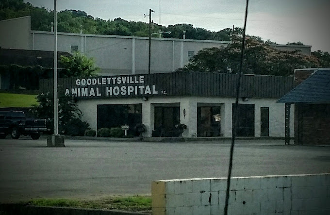 Best Vets in NashvilleGoodlettsville Animal Hospital Total Vet Best Vets in Nashville Goodlettsville Animal Hospital