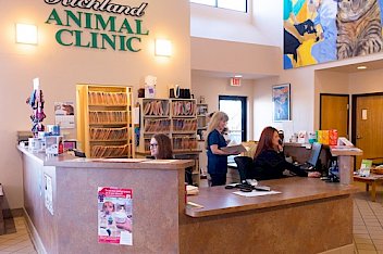 Best Vets in NashvilleRichland Animal Clinic Total Vet Best Vets in Nashville Richland Animal Clinic