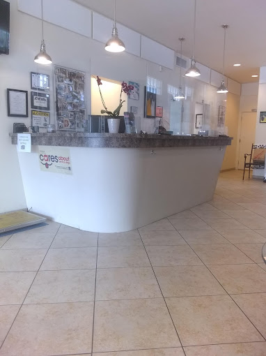 Best Vets in New OrleansLakeview Veterinary Hospital Total Vet Best Vets in New Orleans Lakeview Veterinary Hospital