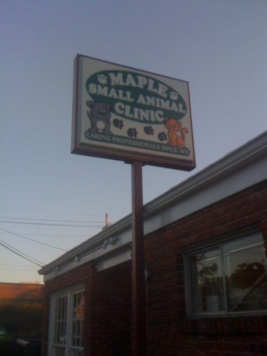 Best Vets in New OrleansMaple Small Animal Clinic Total Vet Best Vets in New Orleans Maple Small Animal Clinic