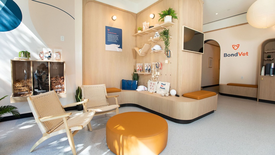 Best Vets in New YorkBond Vet Upper Westside Total Vet Best Vets in New York City Bond Vet Upper Westside