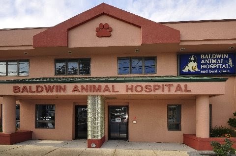 Best Vets in New York CityBaldwin Animal Hospital Total Vet Best Vets in New York City Baldwin Animal Hospital