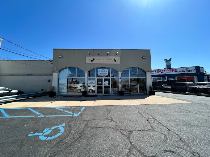 Best Vets in New York CityCatnip and Carrots Veterinary Hospital Total Vet Best Vets in New York City Catnip and Carrots Veterinary Hospital