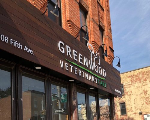 Best Vets in New York CityGreenwood Veterinary Care Total Vet Best Vets in New York City Greenwood Veterinary Care