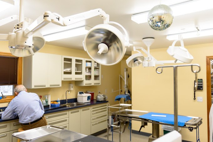 Best Vets in New York CityMattituckLaurel Veterinary Hospital Total Vet Best Vets in New York City Mattituck Laurel Veterinary Hospital