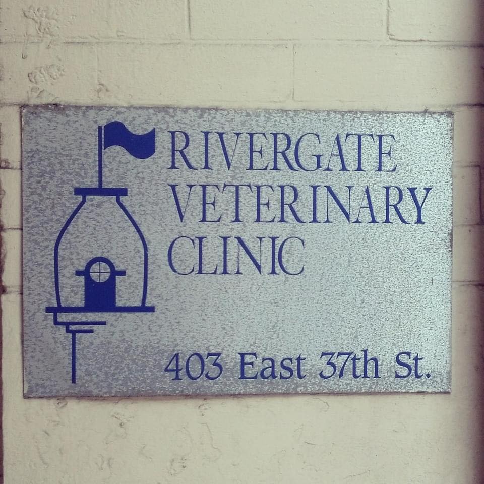 Best Vets in New York CityRivergate Veterinary Clinic Total Vet Best Vets in New York City Rivergate Veterinary Clinic
