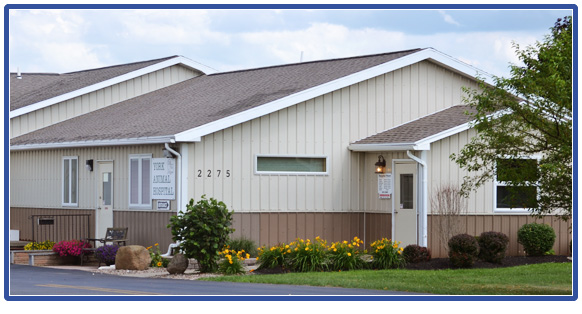 Best Vets in New York CityYork Animal Hospital Total Vet Best Vets in New York City York Animal Hospital