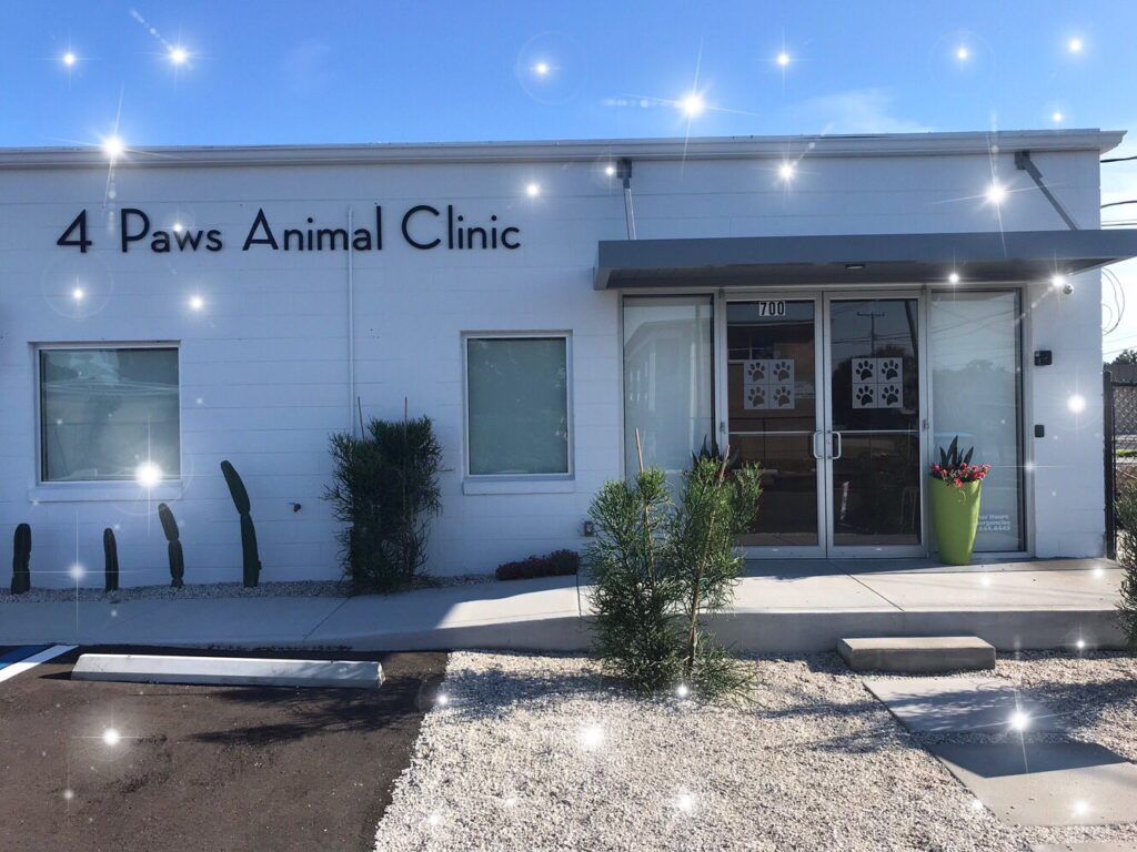 Best Vets in Orlando4 Paws Animal Clinic Total Vet Best Vets in Orlando 4 Paws Animal Clinic
