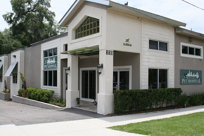 Best Vets in OrlandoDowntown Pet Hospital Total Vet Best Vets in Orlando Downtown Pet Hospital