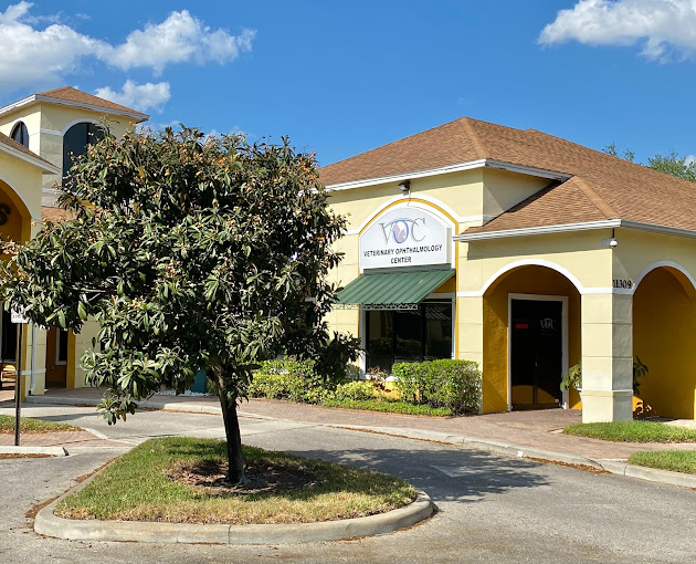 Best Vets in OrlandoVeterinary Ophthalmology Center Total Vet Best Vets in Orlando Veterinary Ophthalmology Center