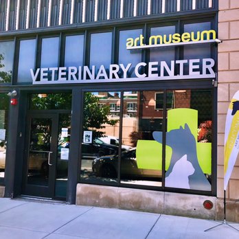 Best Vets in PhiladelphiaArt Museum Veterinary Center Total Vet Best Vets in Philadelphia Art Museum Veterinary Center