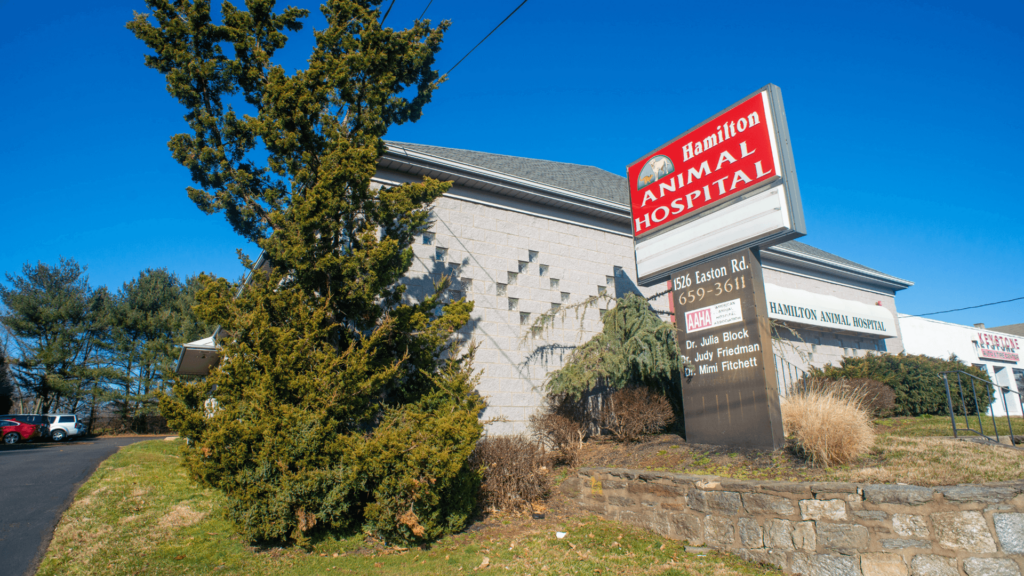 Best Vets in PhiladelphiaHamilton Animal Hospital Total Vet Best Vets in Philadelphia Hamilton Animal Hospital