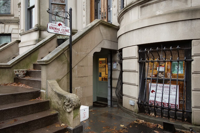 Best Vets in PhiladelphiaProspect Park Veterinary Clinic Total Vet Best Vets in Philadelphia Prospect Park Veterinary Clinic